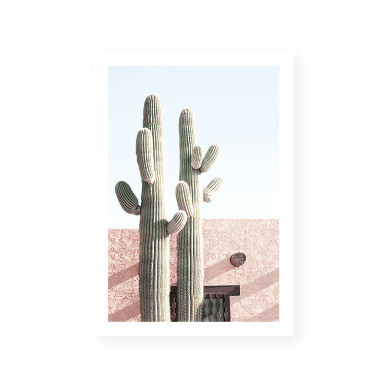 Two Cactus